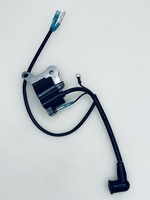 Зажигание в сборе для Carver GBC-31F 01.011.00196