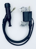 Катушка зажигания для DY2500L\LX, DY3000L\LX, DY4000L\LX EG-H168-J04\EG-HT168FDE-J06, EG-HT168FDE-2-J06 Huter (арт. 61/42/88)