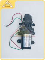 Помпа в сборе для опрыскивателя штуцер-штуцер, Patriot 16AC-1, 12AC (006107)